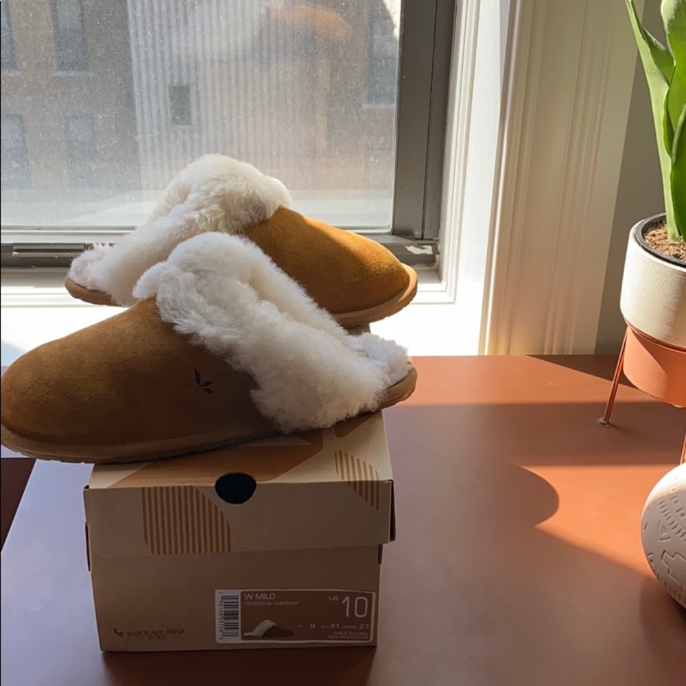 Kookaburra UGG Milo Slippers Size 10